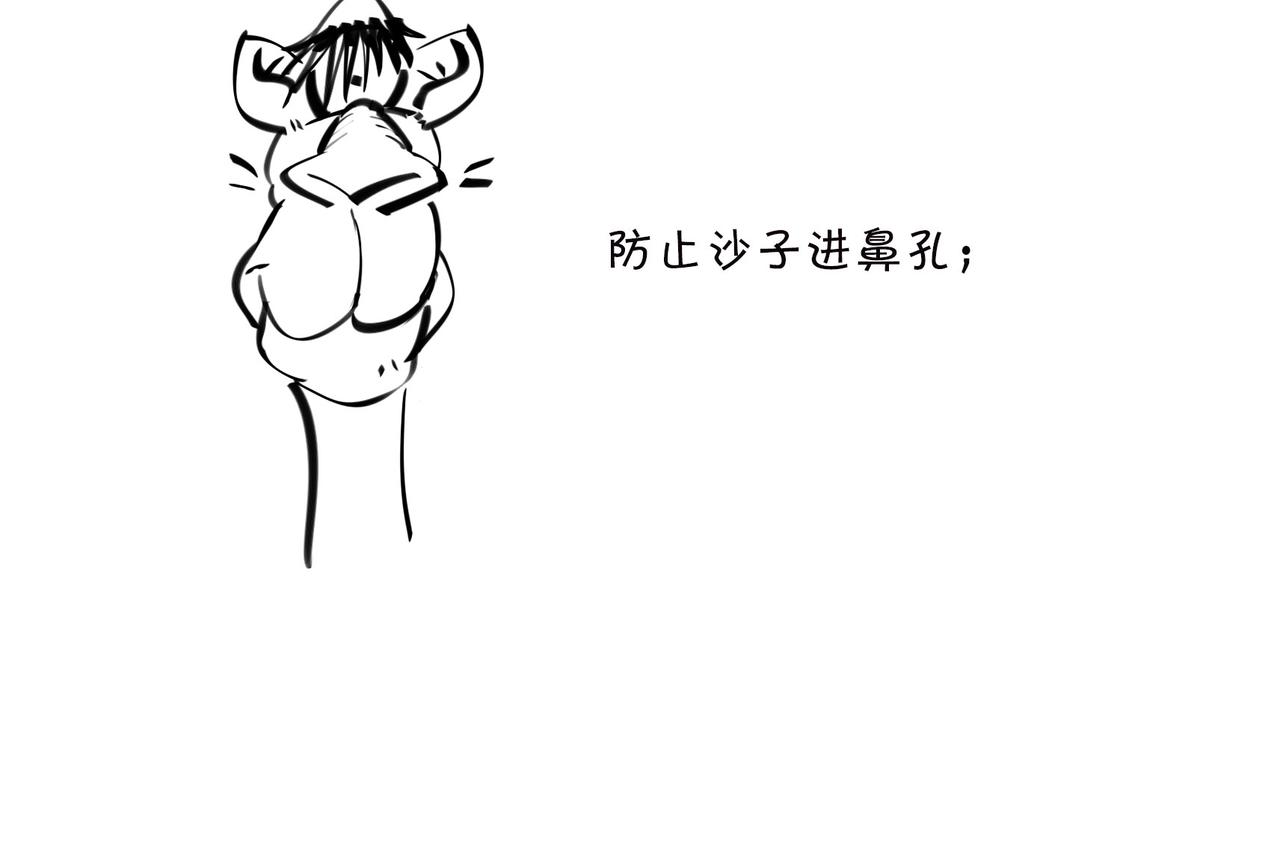 〓佩奇、麦兜、八戒？未来，它有方向么？〓(1/2)-第98话