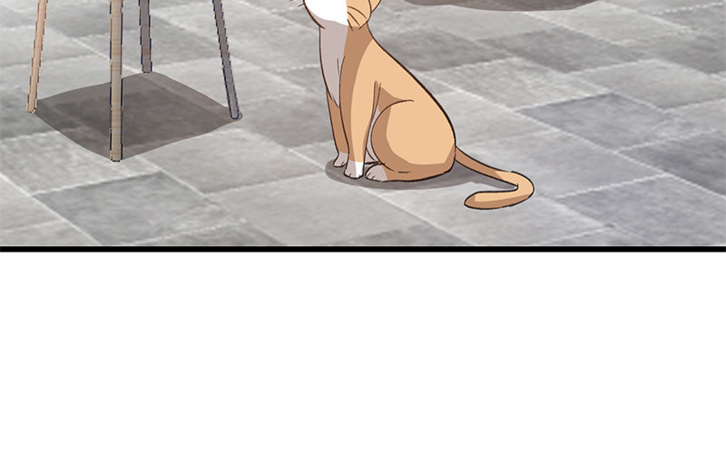 12 第11话  秦阳的难处(1/2)-第12话