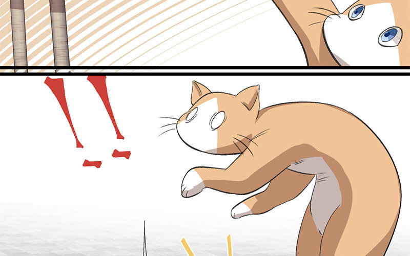 12 第11话  秦阳的难处(1/2)-第12话