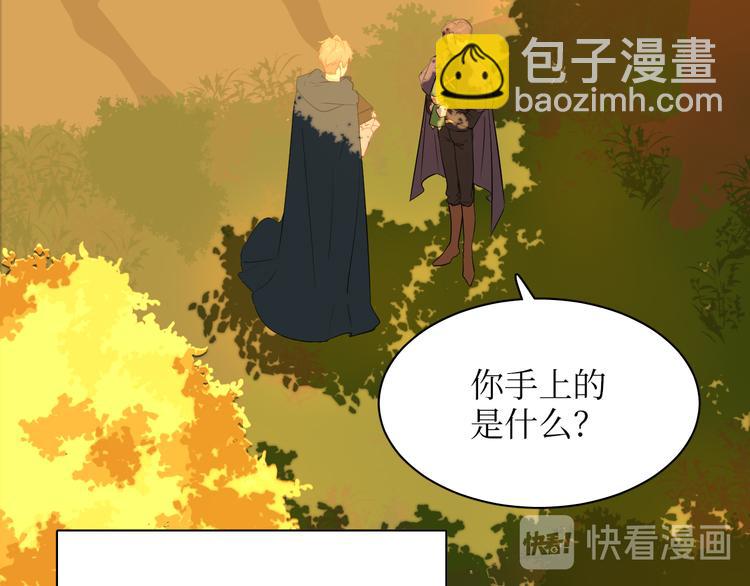 巫师篇17+18-第12话