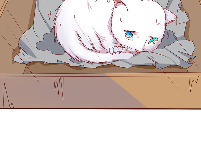 雨中的冲突(1/3)-第32话