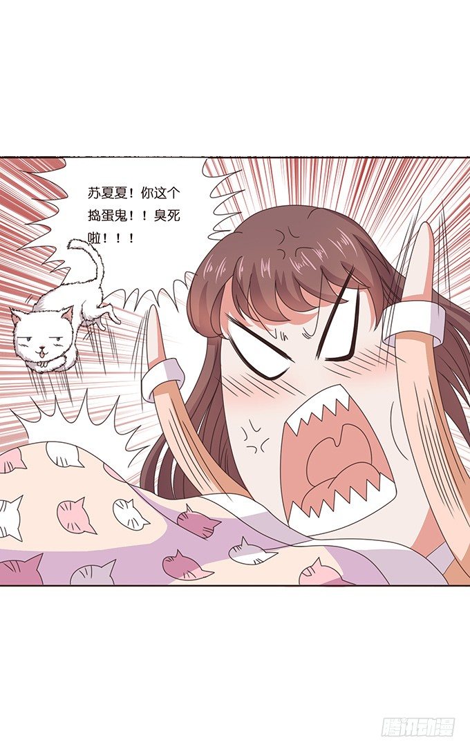 夏沫的恋舞(1/2)-第40话