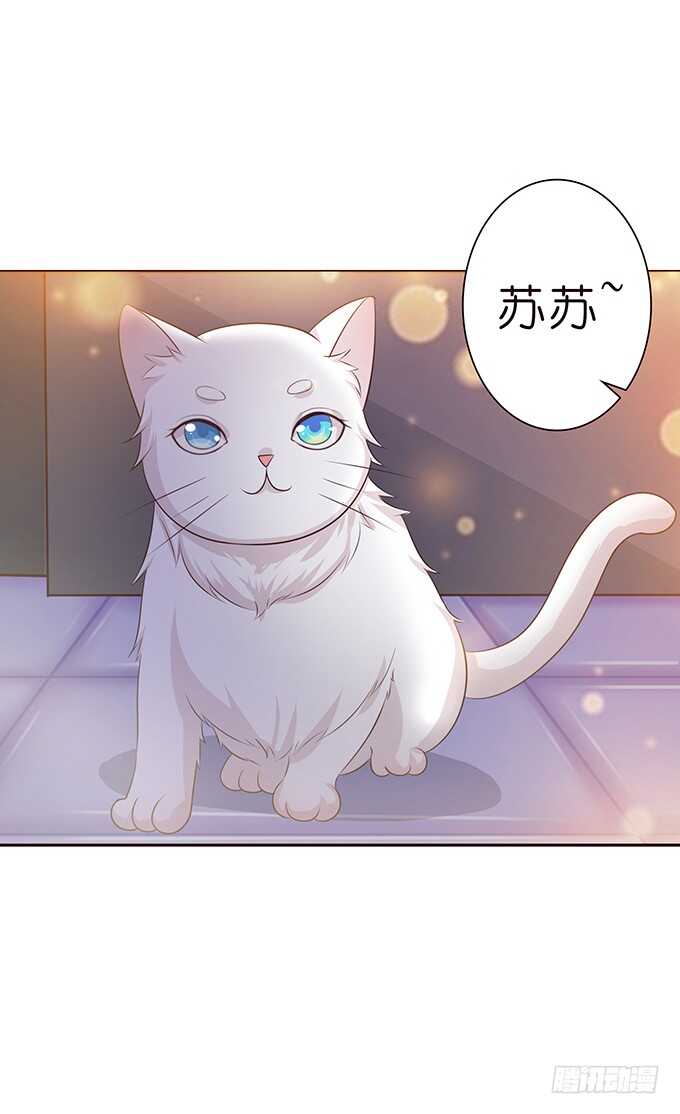 短信的桥梁(1/2)-第88话