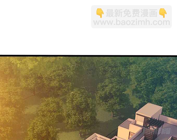 心悸的等候(1/2)-第94话