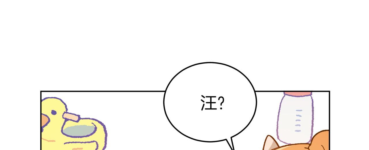 愛妃，你的刀掉了 - 第151話 獲勝者被暗殺(3/5) - 2