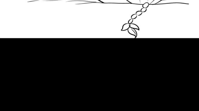 番外：大家植树节快乐！-第34话