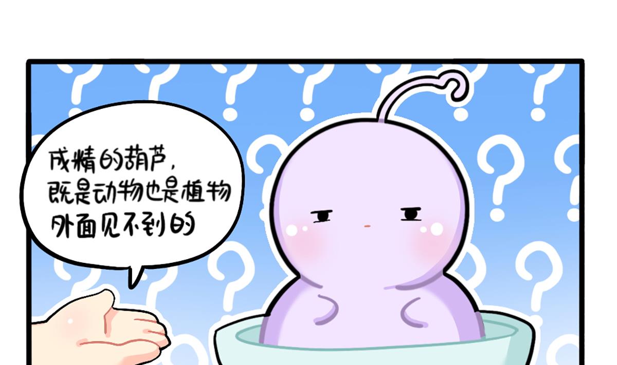 我有特殊的旅游技巧-第164话