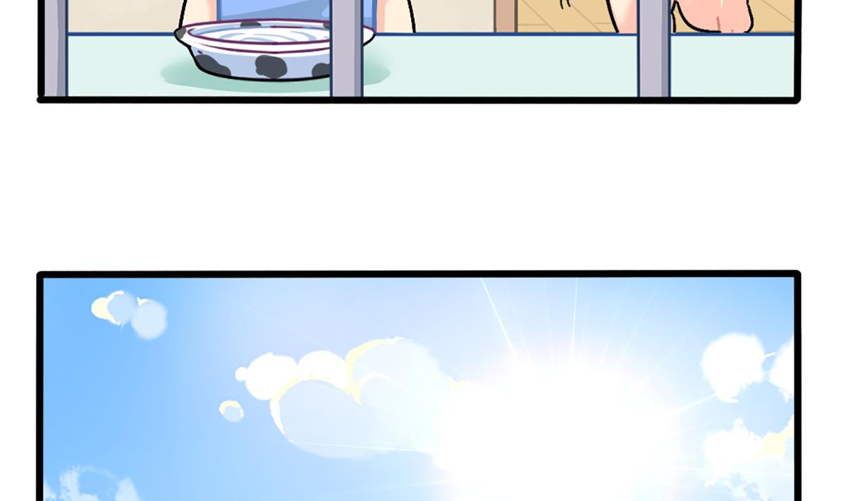 生姜晒干会变成小姜丝吗？-第166话