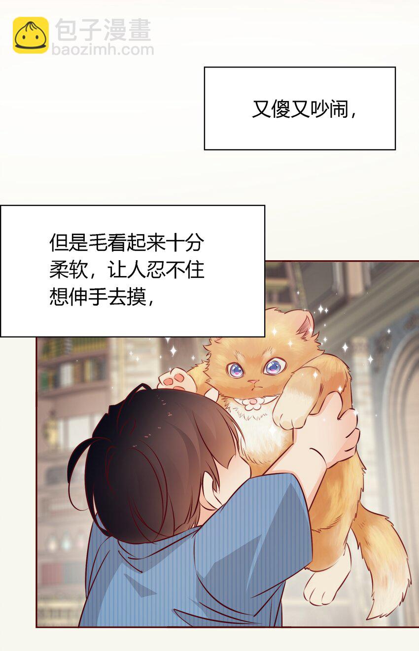 番外2 &mdash;&mdash;喜欢！！！-第42话