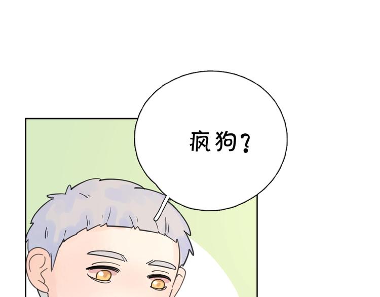 第12话 憧憬的未来(1/3)-第14话