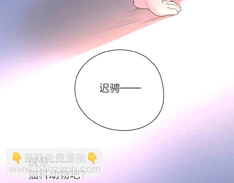 番外 路炀讨厌迟骋的某些原因(1/2)-第4话