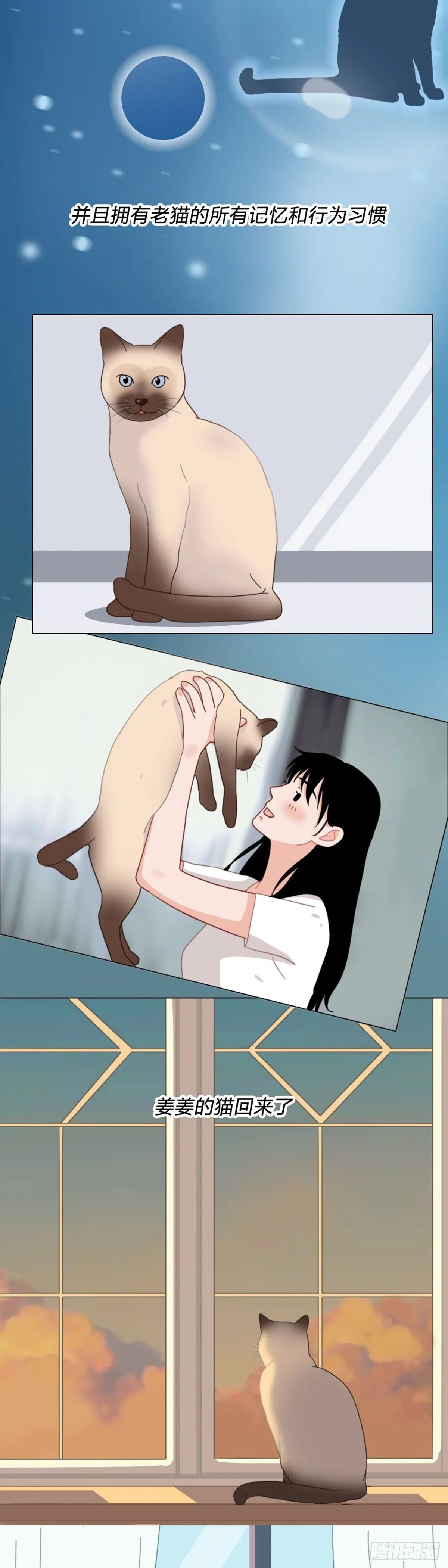 第二十四章 你要好好活着-第24话