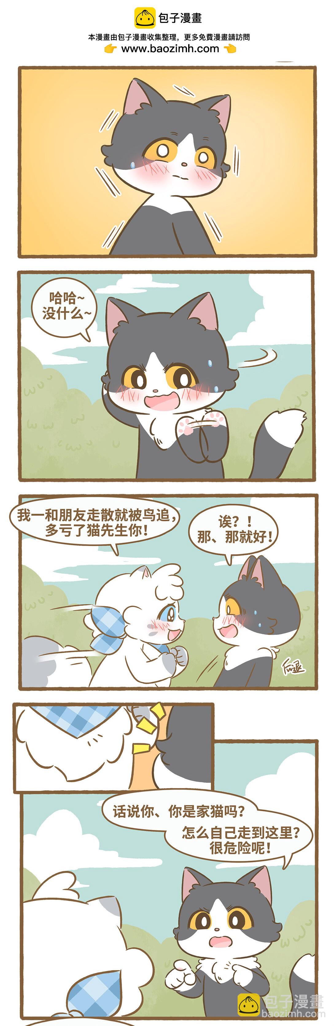 愛上我的小可愛 - 102 第102話 再遇貓子漢 - 2