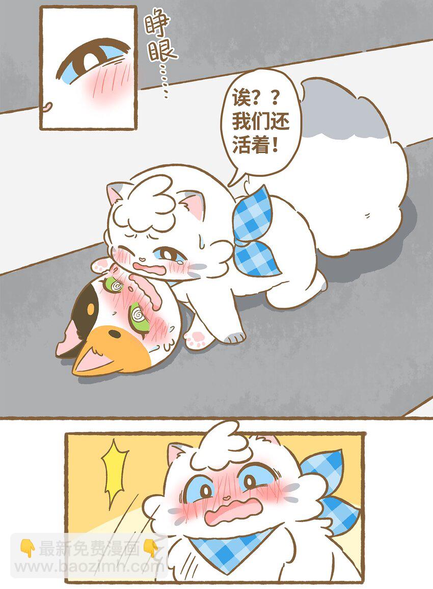 愛上我的小可愛 - 20 第20話 - 4