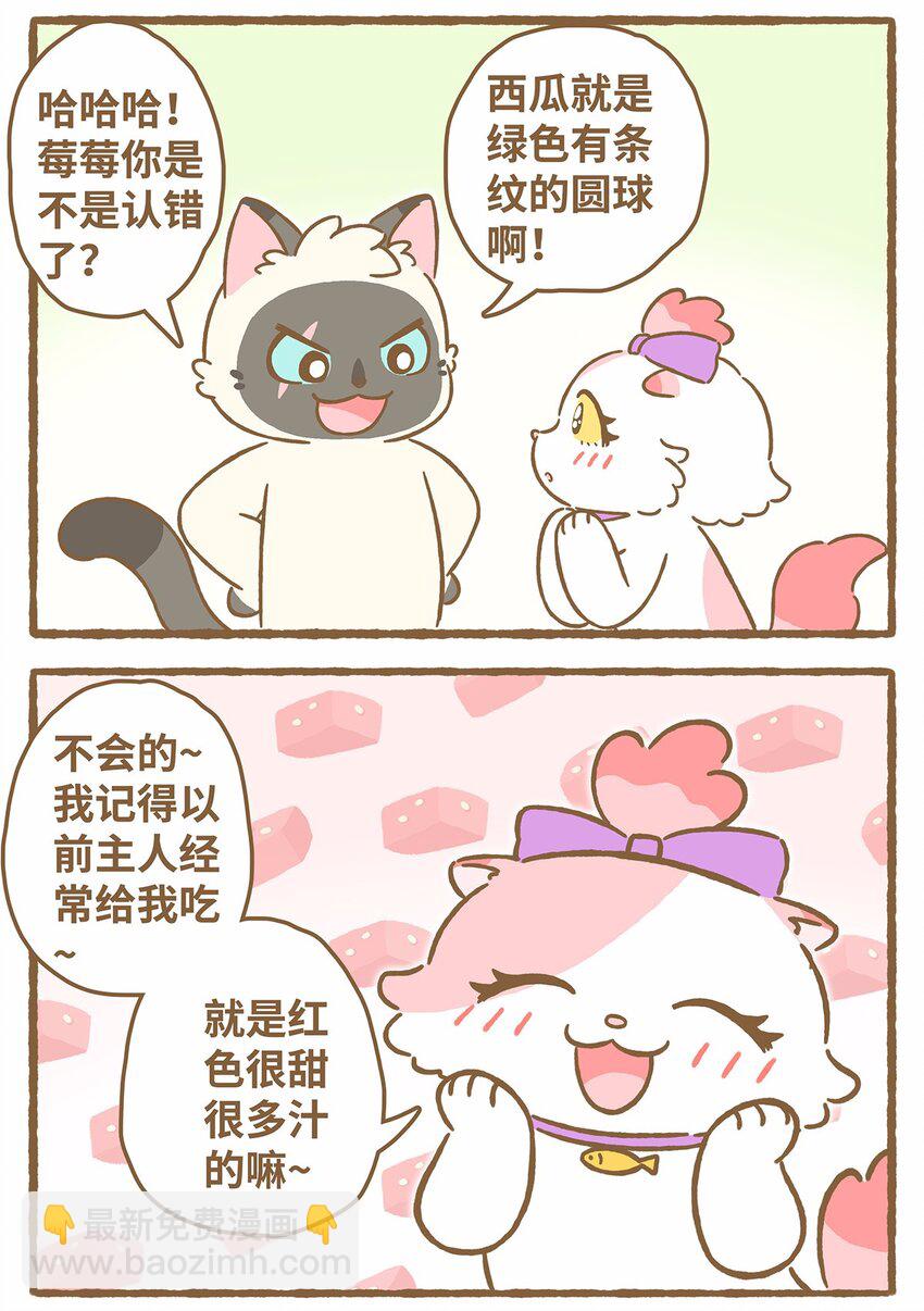 愛上我的小可愛 - 44 第44話 西瓜塊VS西瓜汁 - 4