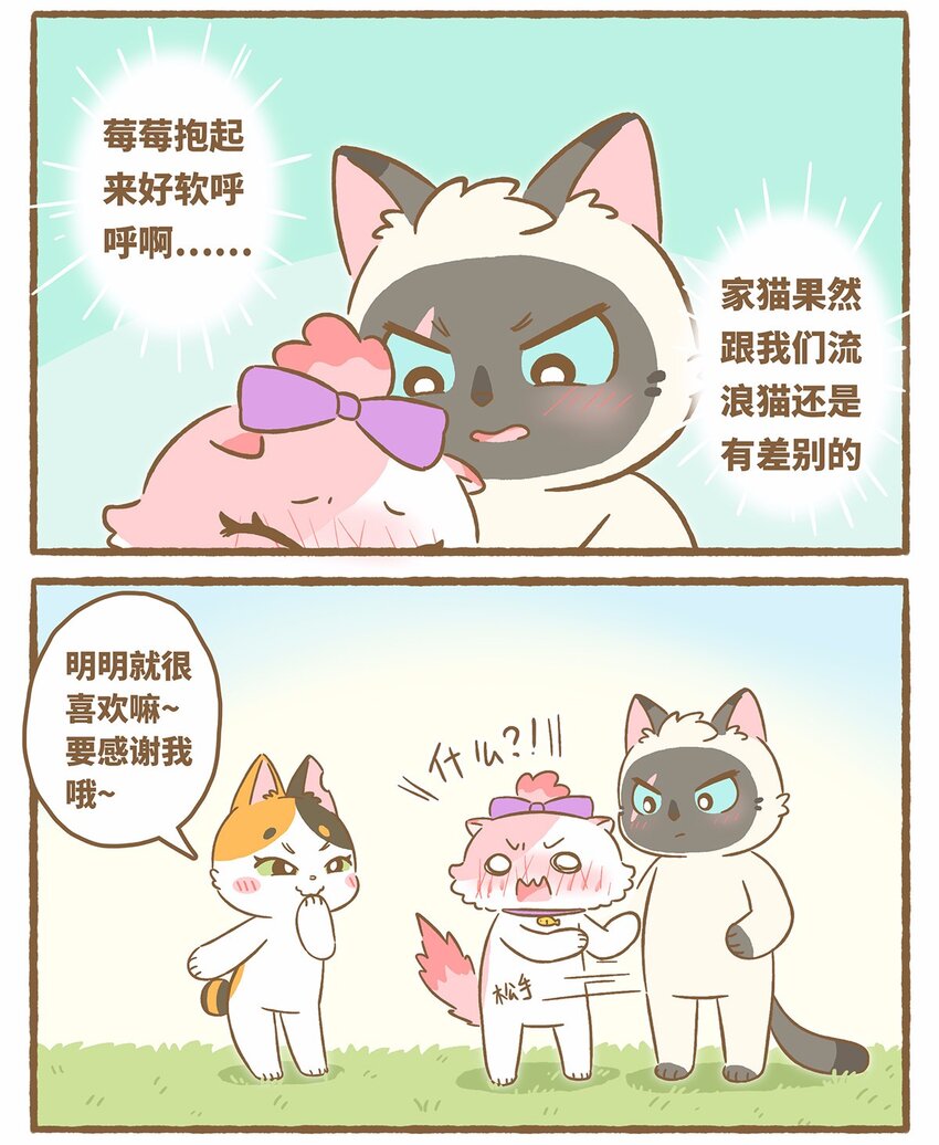 愛上我的小可愛 - 46 第46話 抱團取暖 - 3