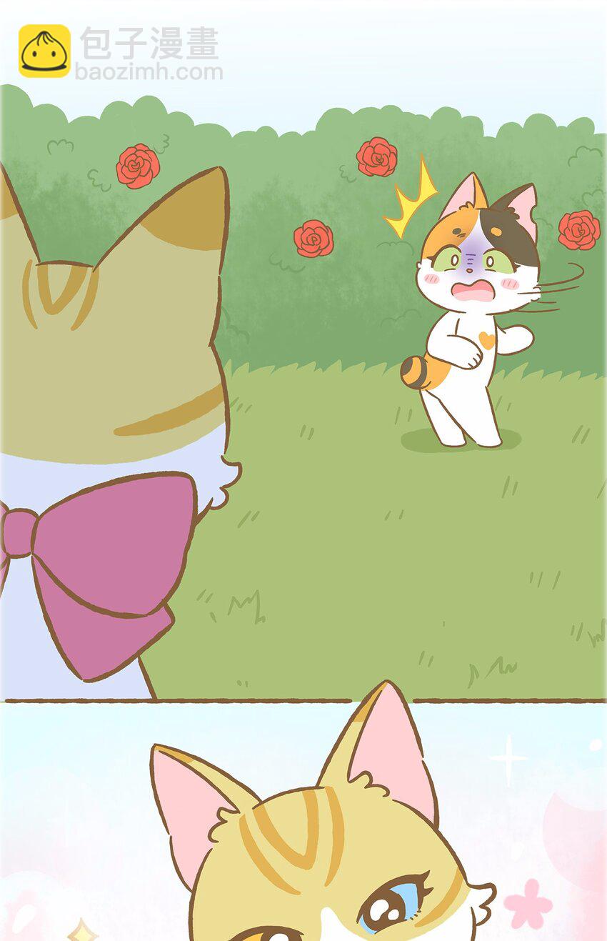 愛上我的小可愛 - 50 第50話 琪妙的相遇 - 1