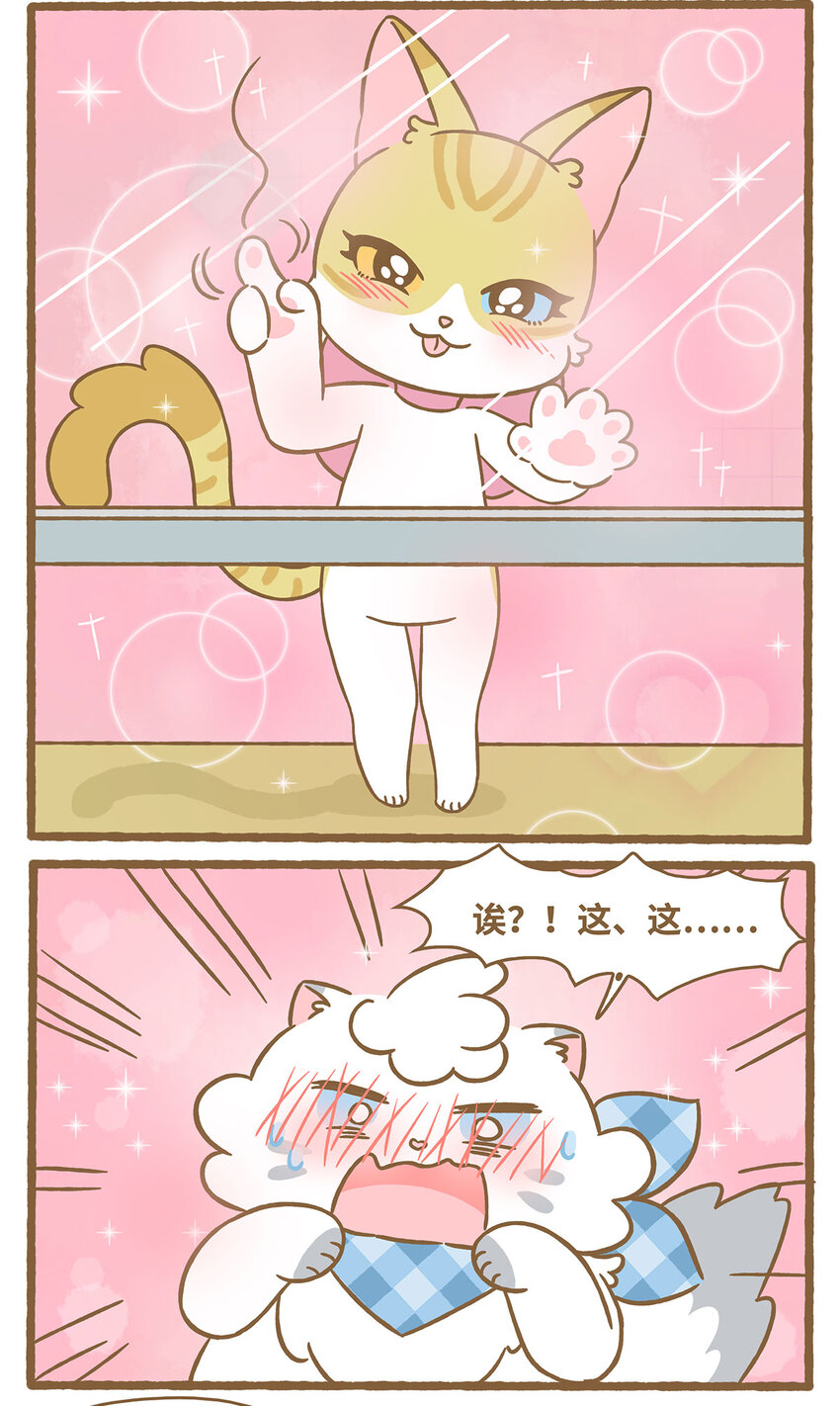 愛上我的小可愛 - 66 第66話 擦玻璃 - 4