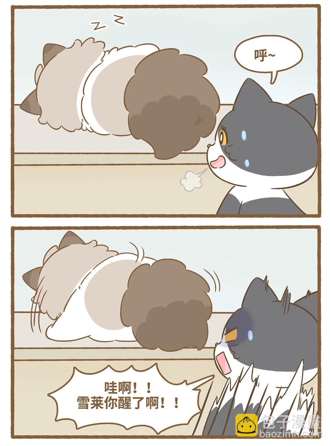 愛上我的小可愛 - 80 第80話 睡着的雪萊 - 3