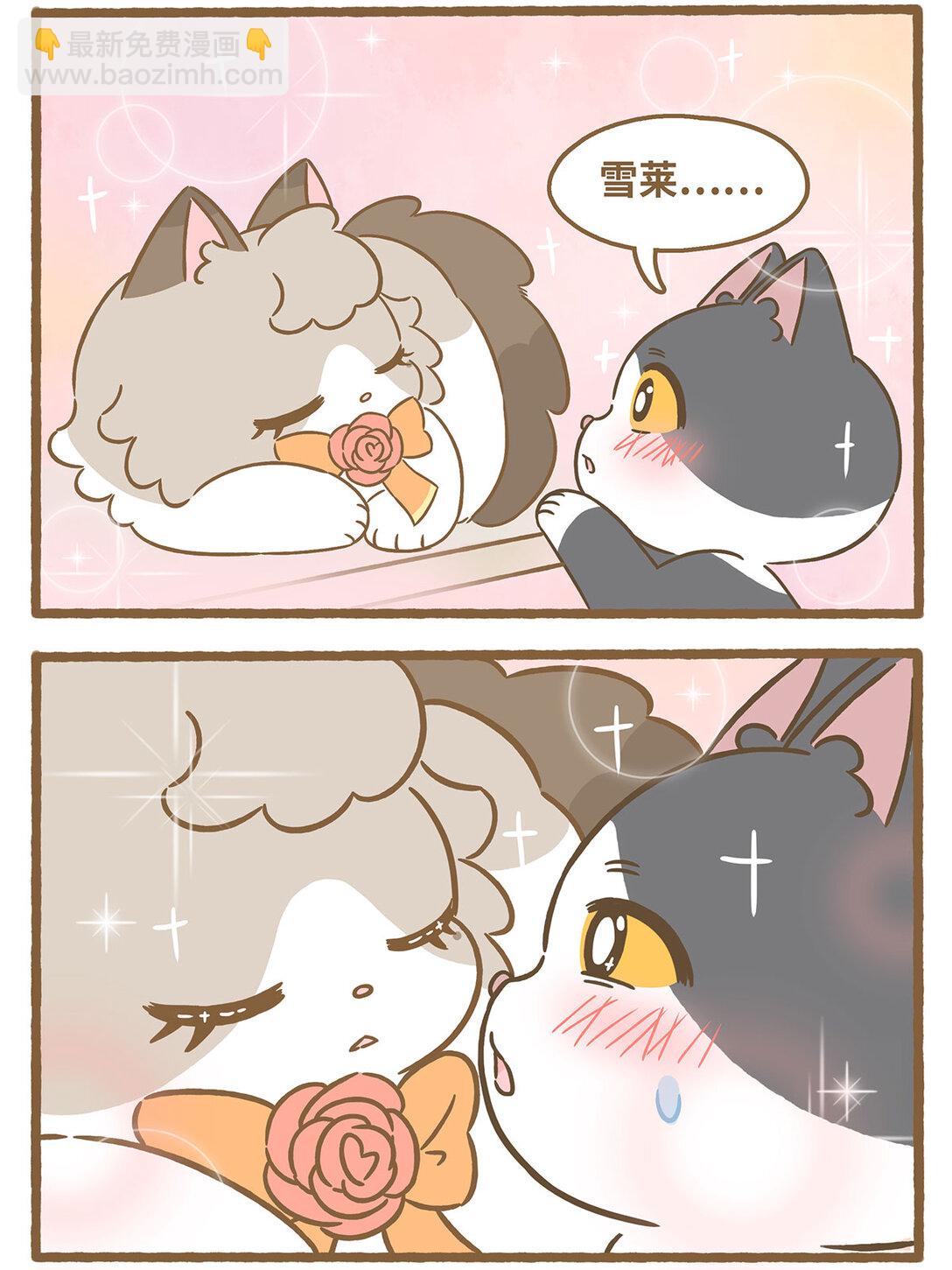 愛上我的小可愛 - 80 第80話 睡着的雪萊 - 1