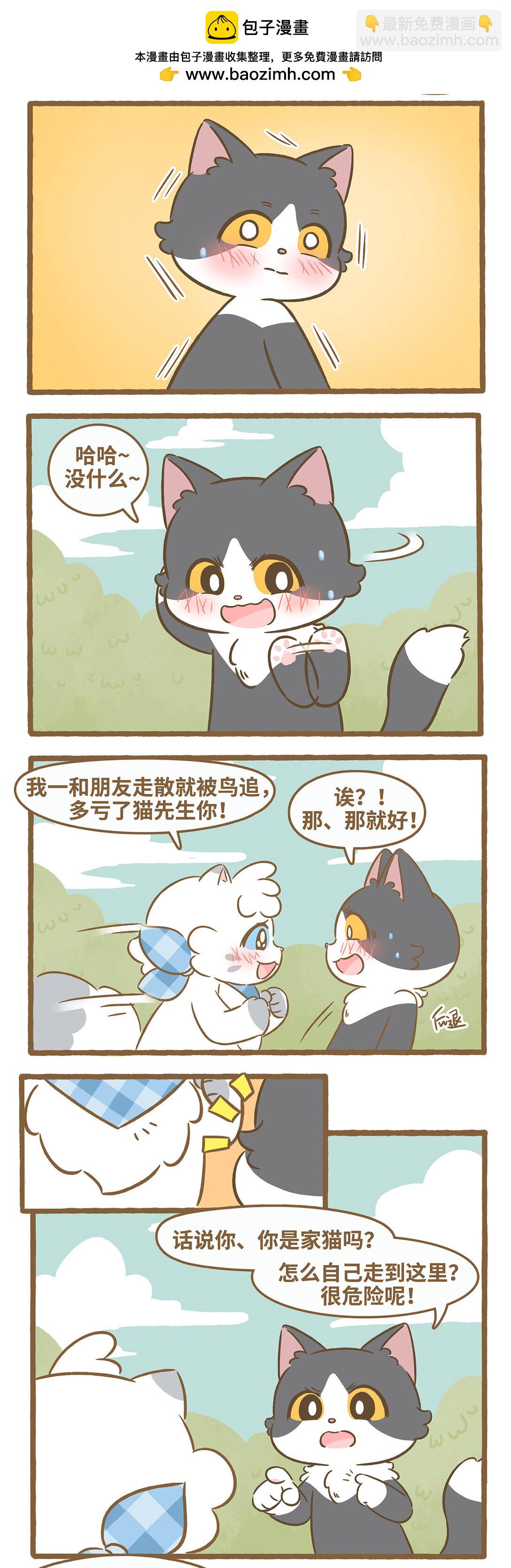 愛上我的小可愛 - 102 再遇貓子漢 - 2