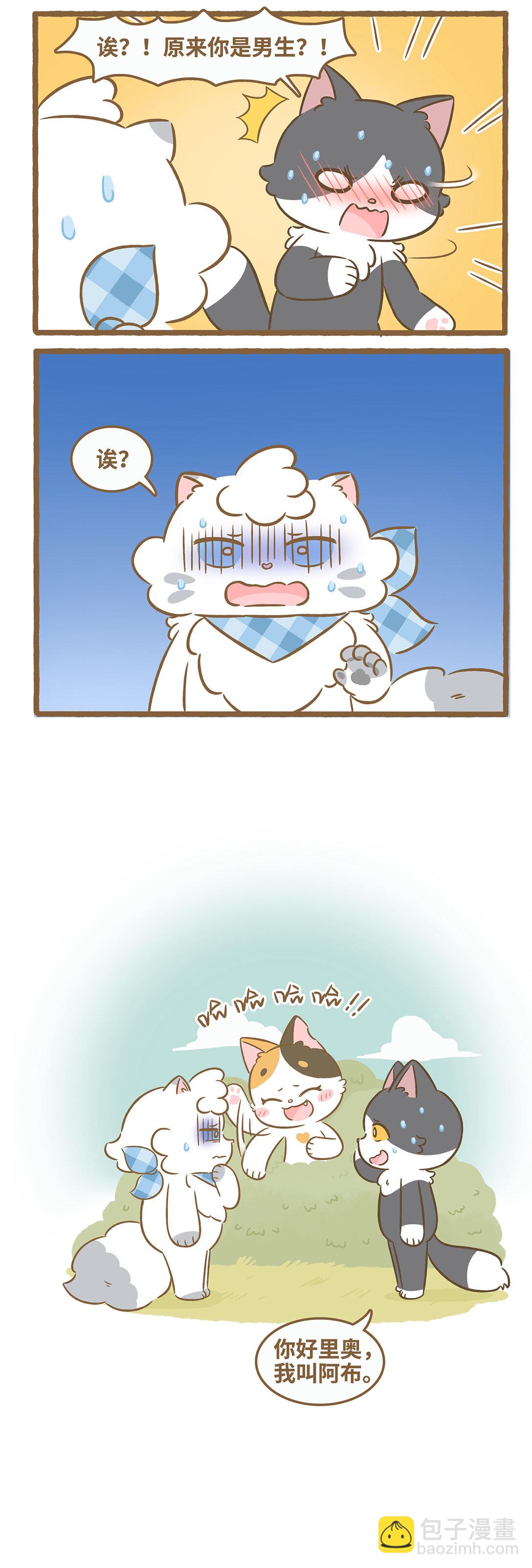 愛上我的小可愛 - 102 再遇貓子漢 - 2