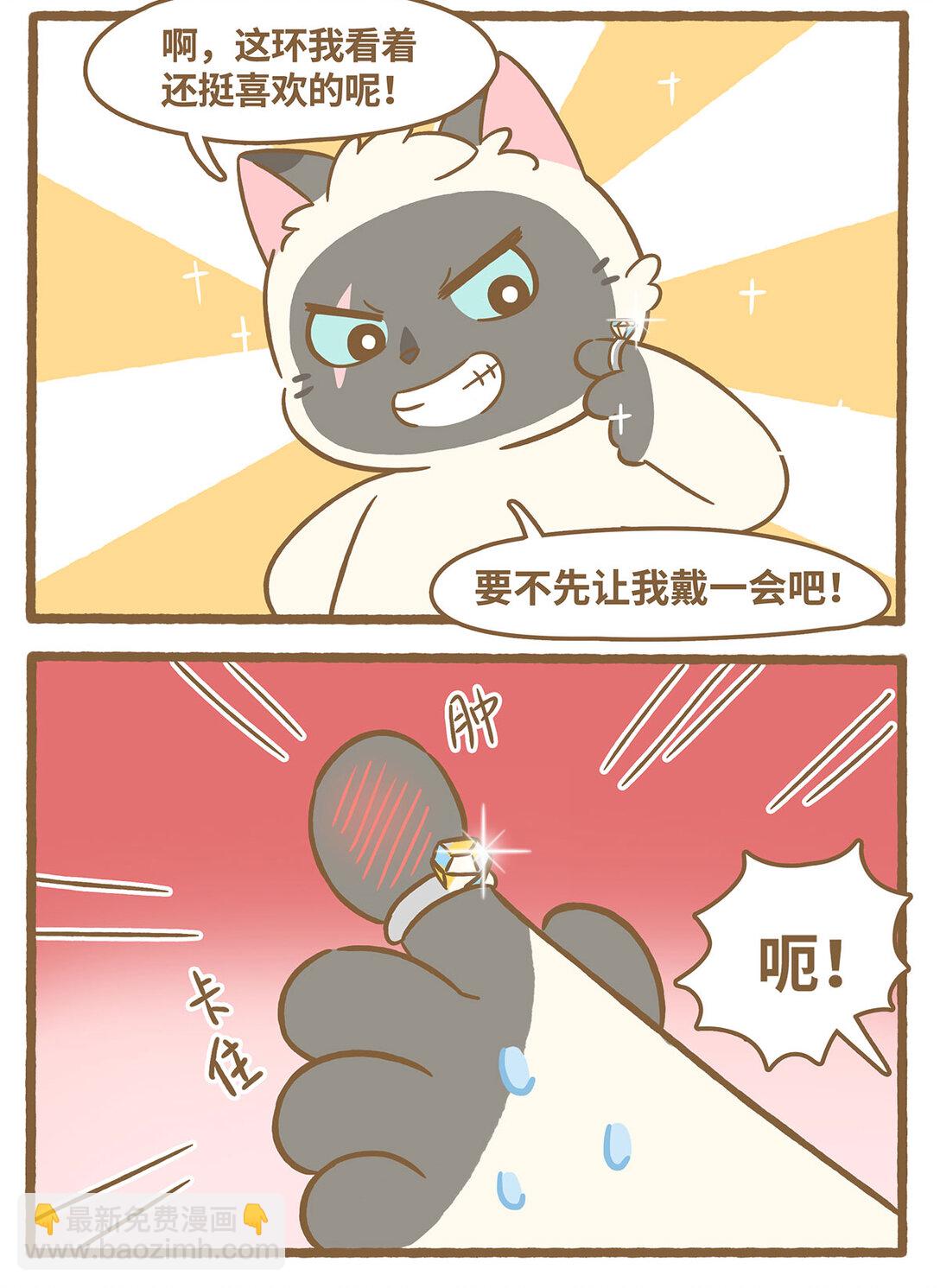 愛上我的小可愛 - 82 第82話 戒指 - 2