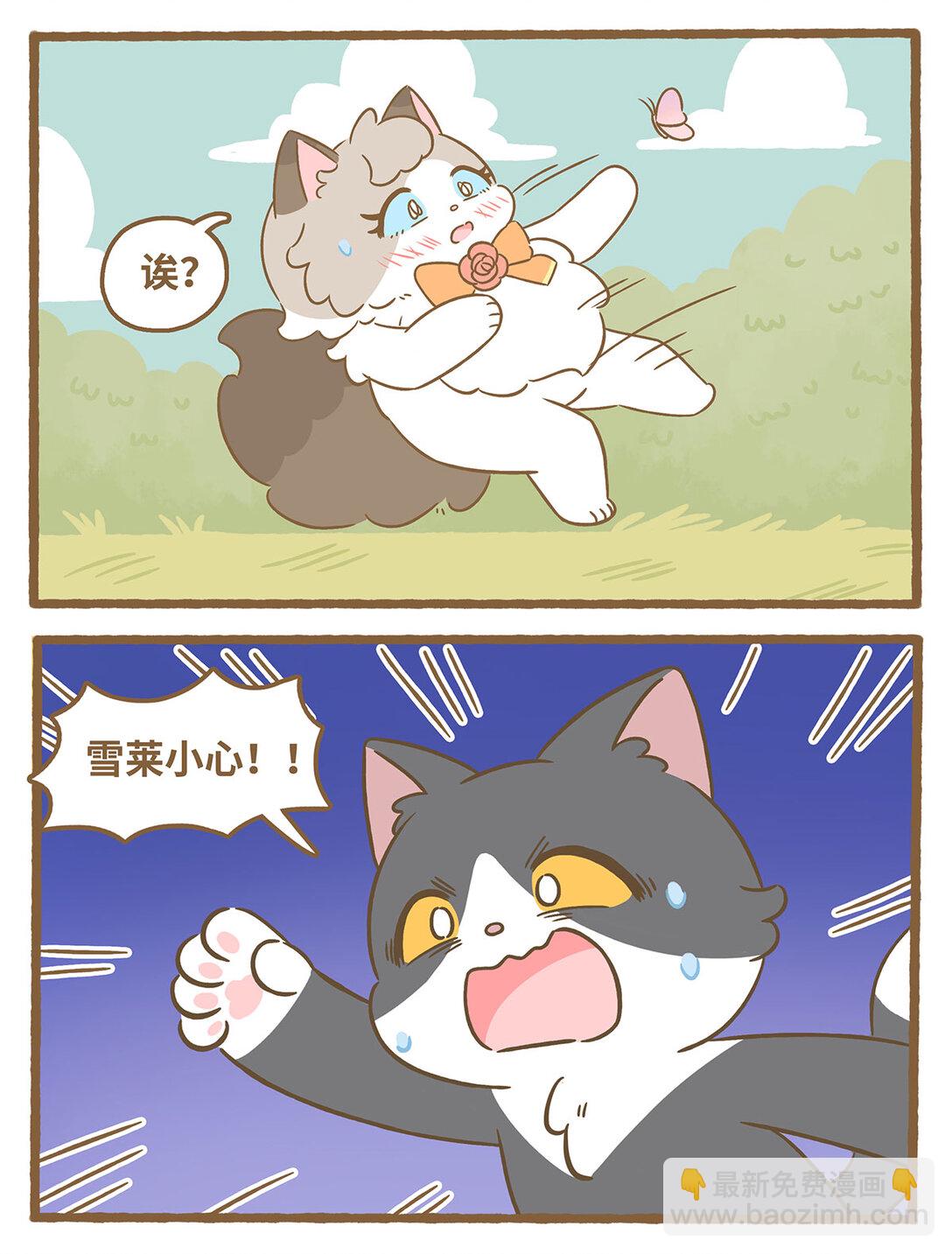 愛上我的小可愛 - 86 第86話 抓蝴蝶 - 2