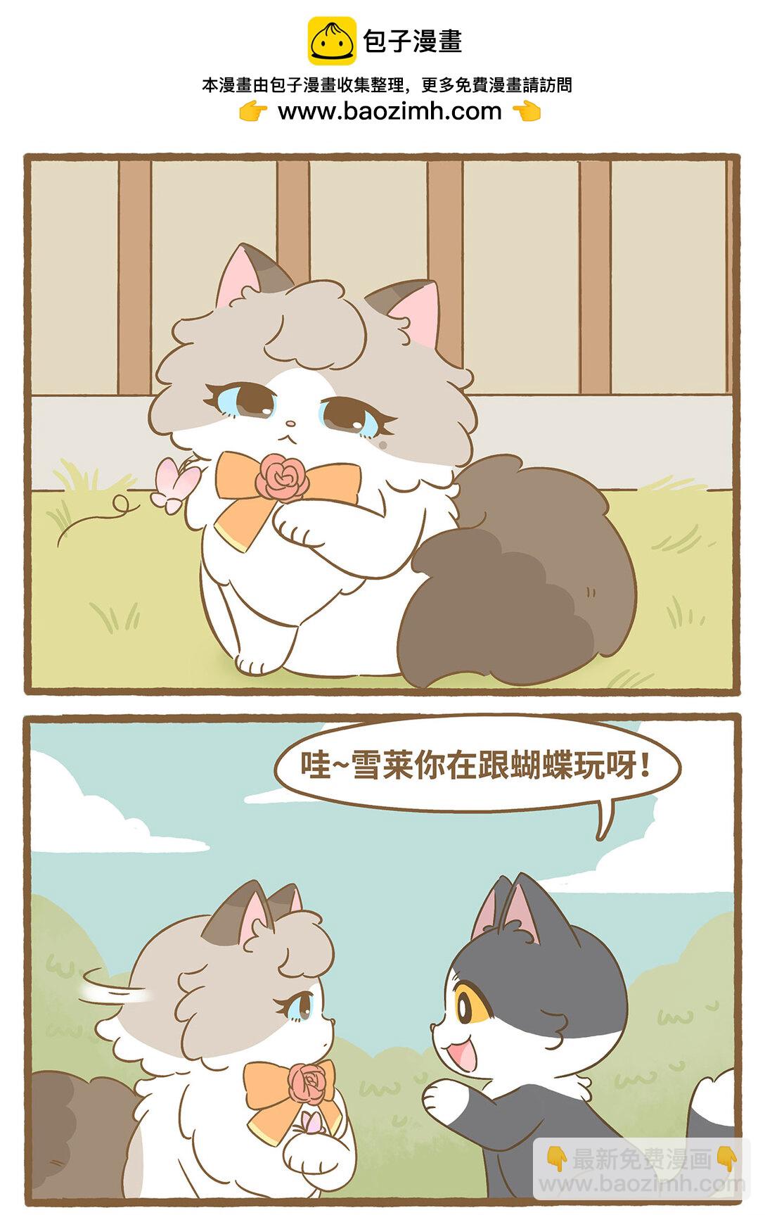 愛上我的小可愛 - 86 第86話 抓蝴蝶 - 2