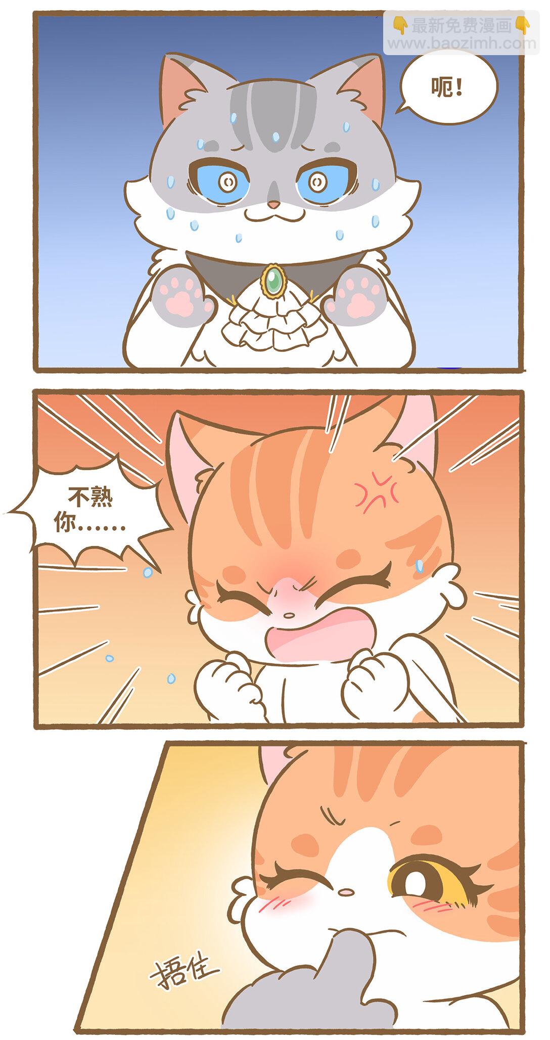 愛上我的小可愛 - 112 和她不熟 - 1