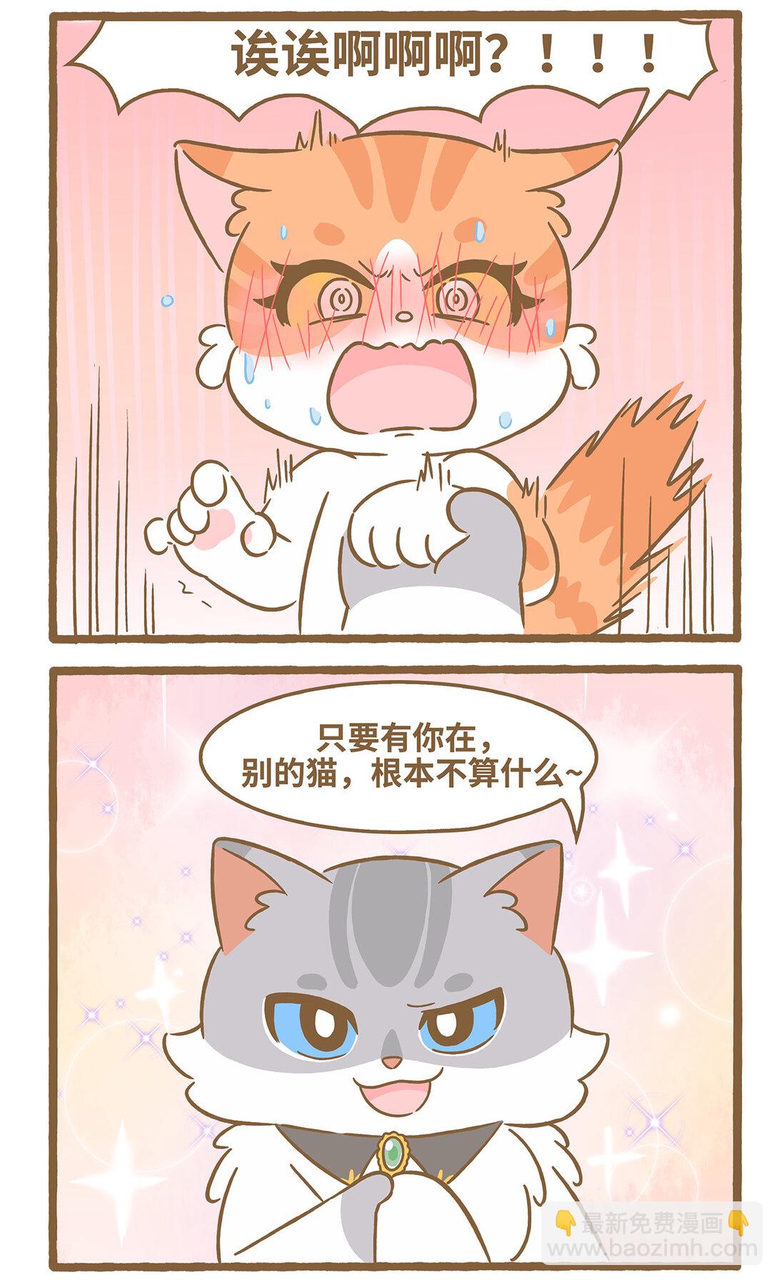 愛上我的小可愛 - 112 和她不熟 - 3