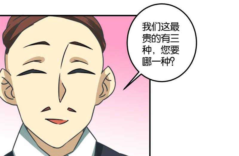 第51话(1/2)-第52话