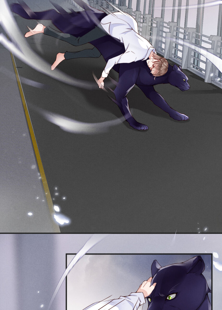 第1话 爱豆被野兽掳走了？(1/2)-第2话