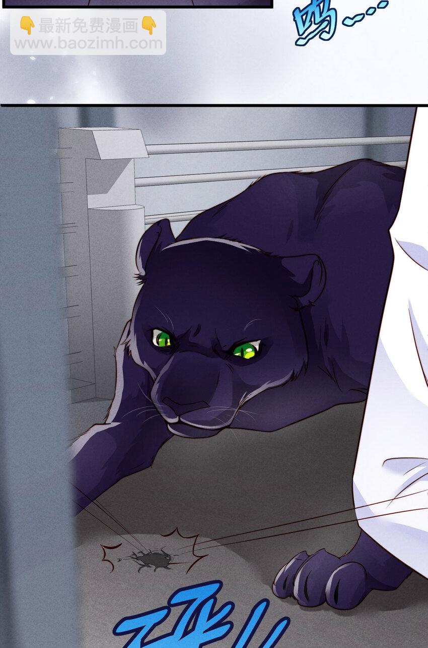 第1话 爱豆被野兽掳走了？(1/2)-第2话