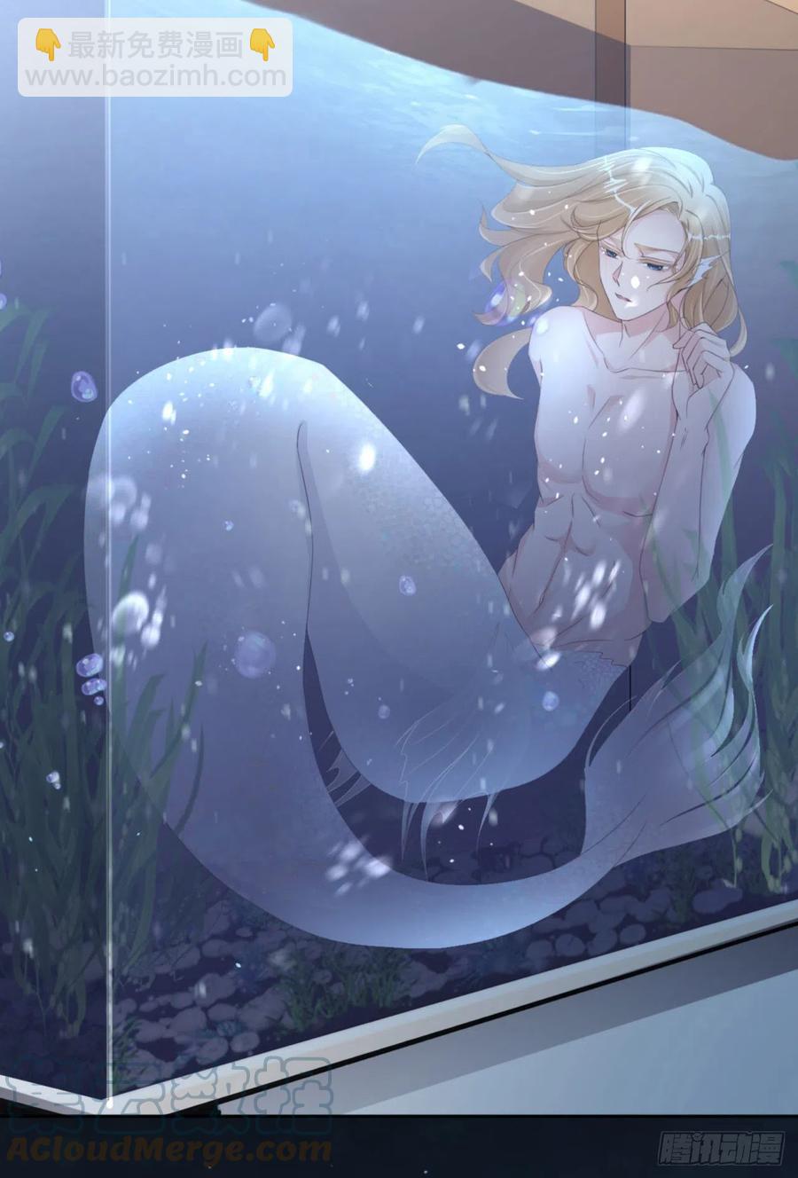 第46话 命运的安排(1/2)-第48话