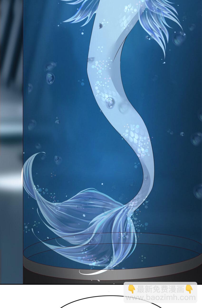 第62话 周和白雩的相遇(1/2)-第64话