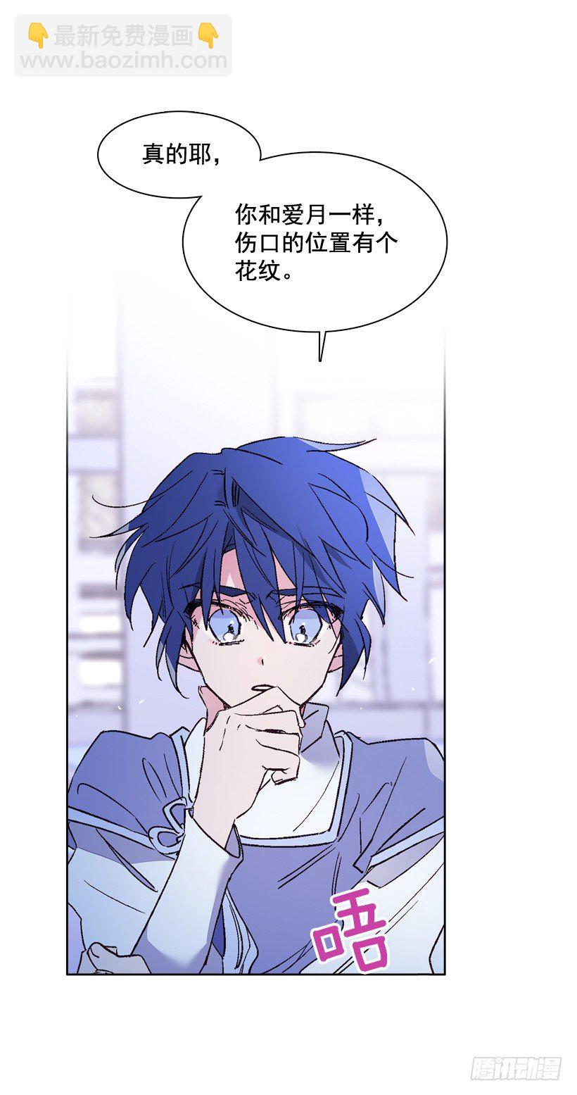 7.爱月踏上旅程(1/2)-第8话