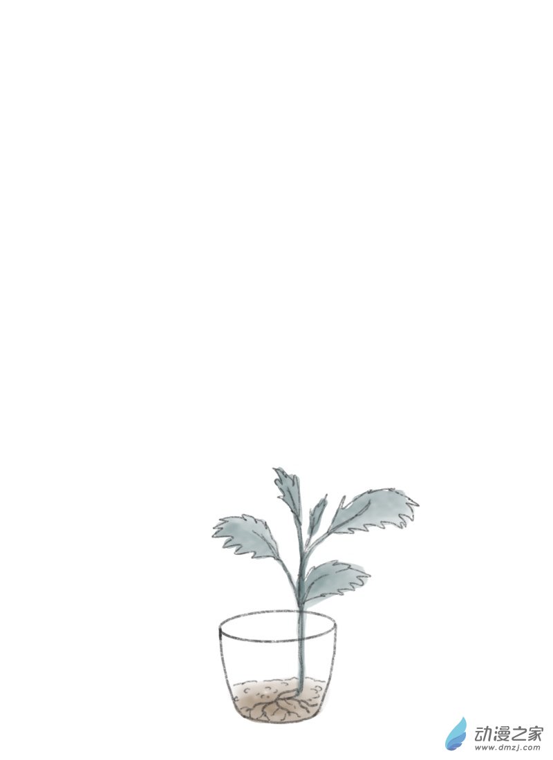 第37话 幸运钱币-第38话