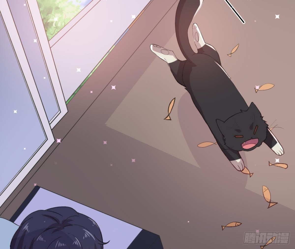 诱猫达人(1/2)-第148话