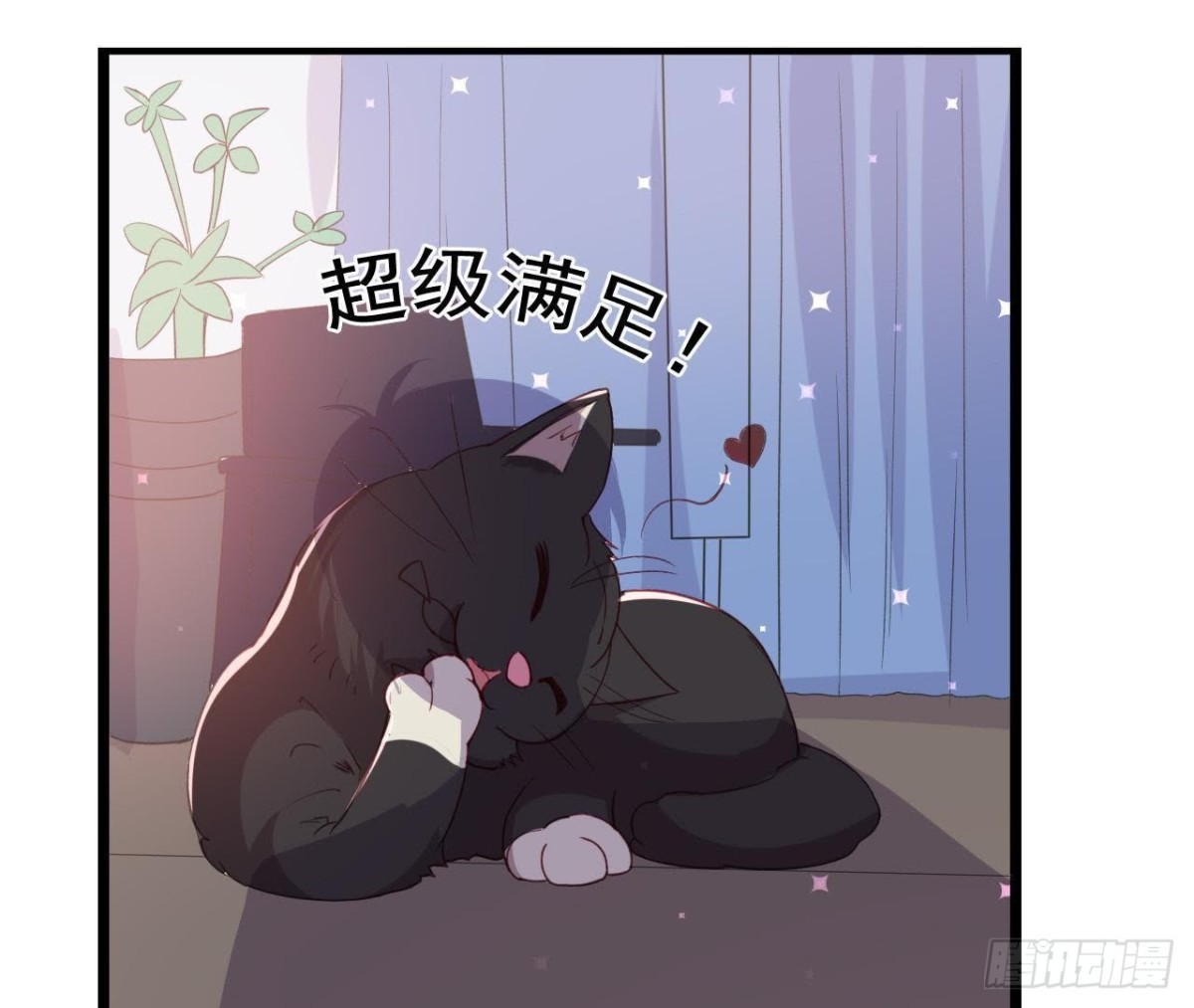 诱猫达人(1/2)-第148话