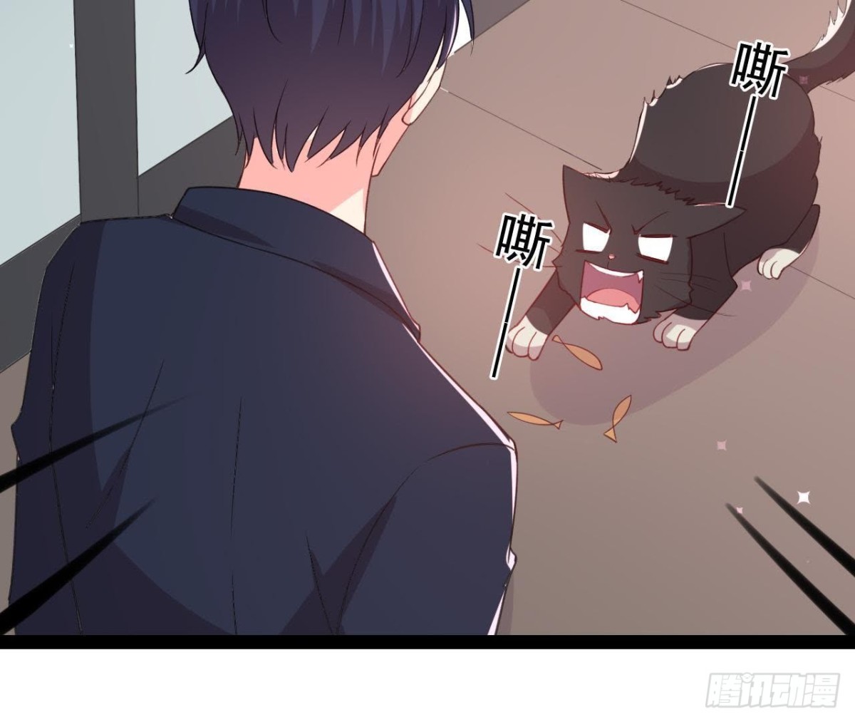 诱猫达人(1/2)-第148话