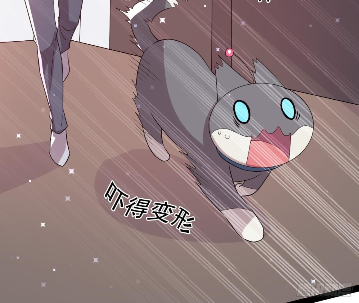 诱猫达人(1/2)-第148话