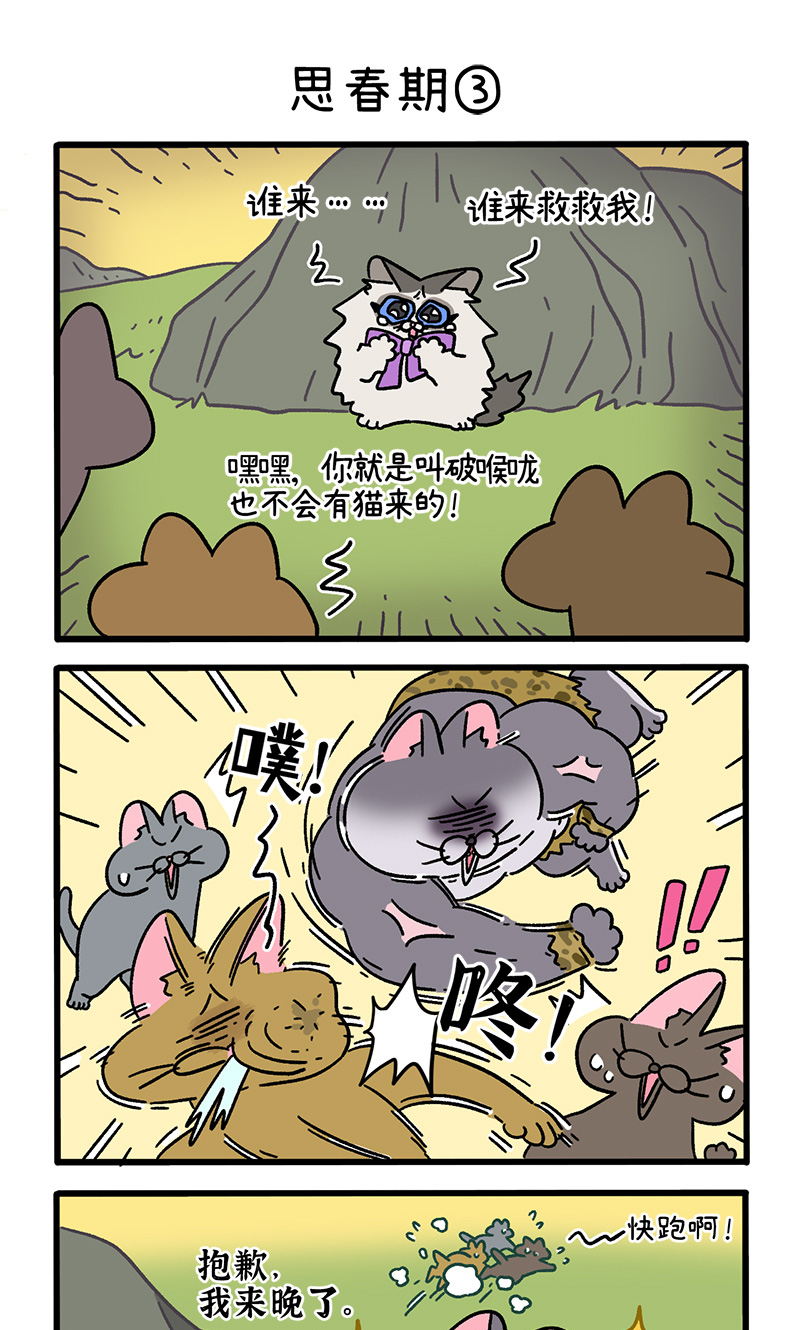16.jpg