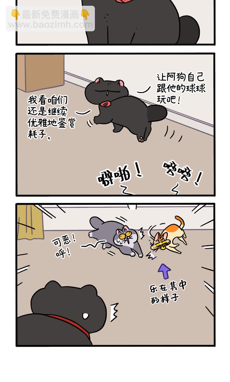12.jpg