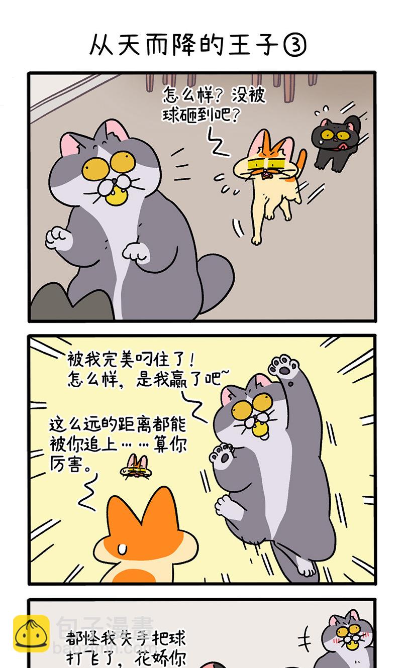 15.jpg