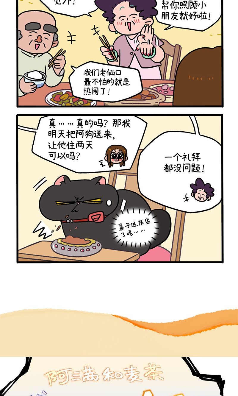 17.jpg