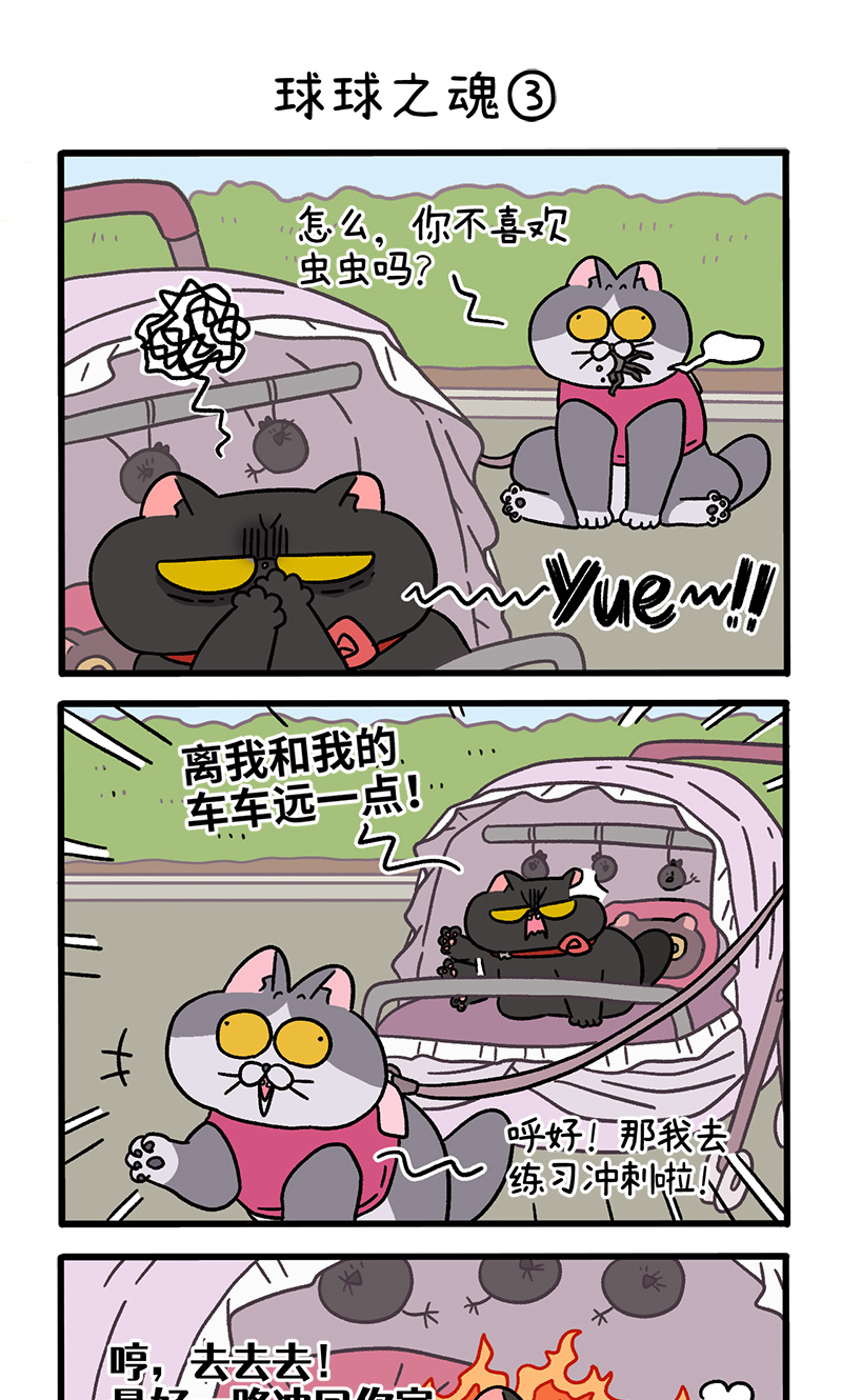 15.jpg