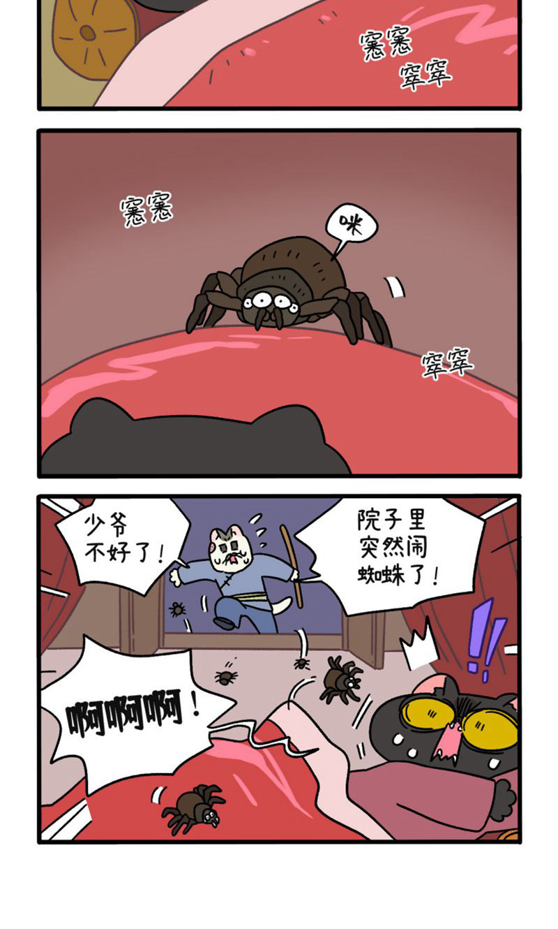 12.jpg