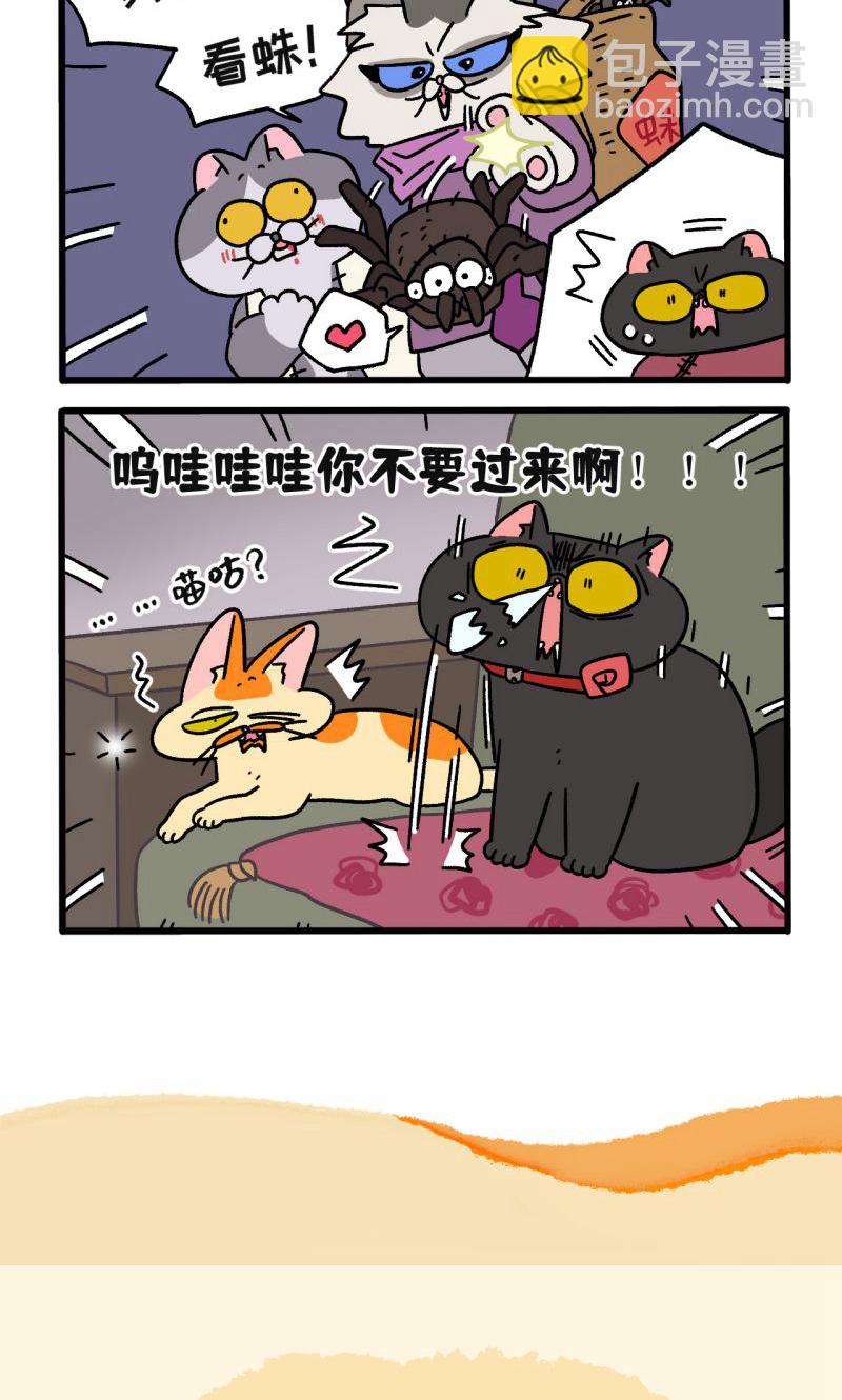 18.jpg