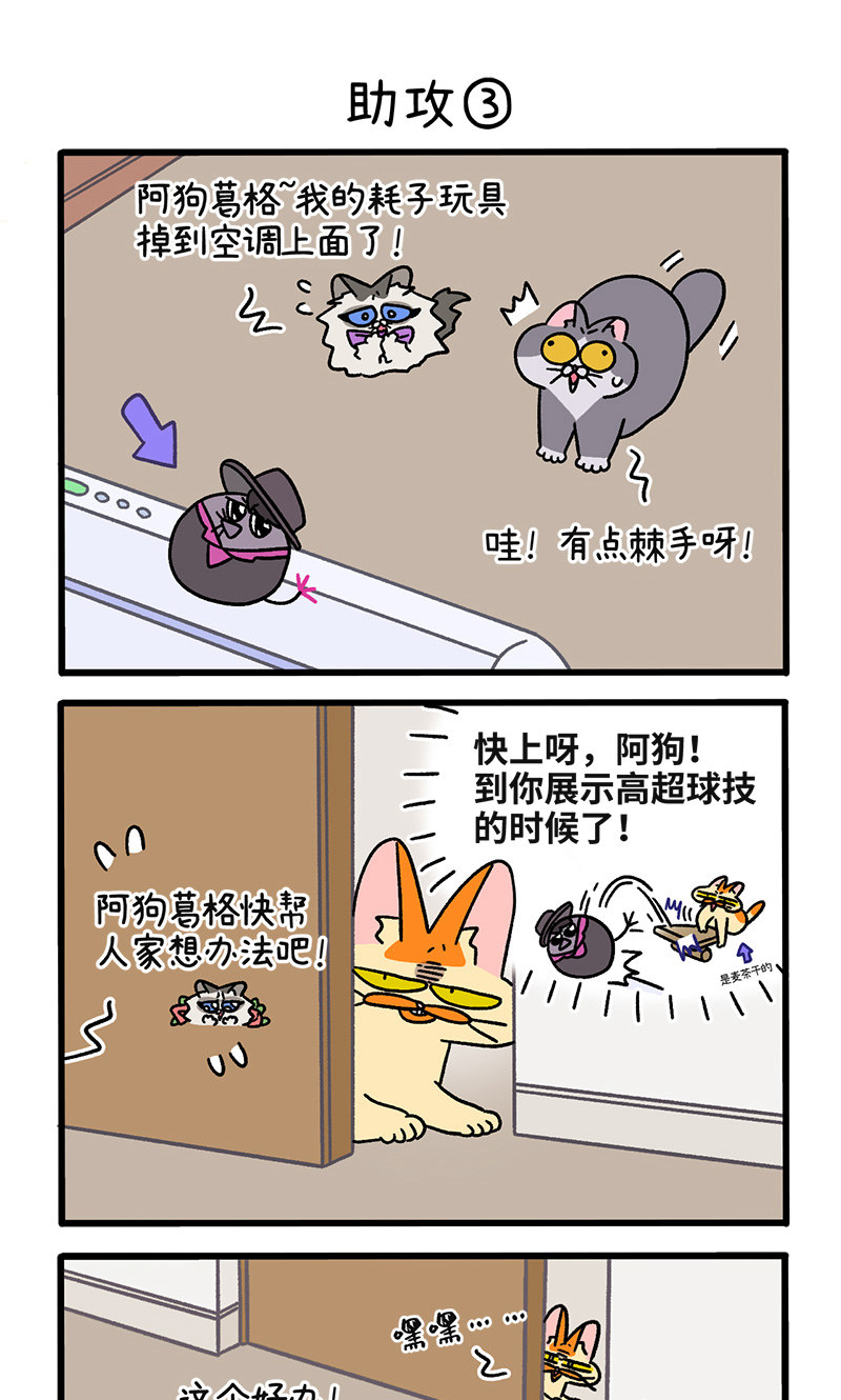 15.jpg